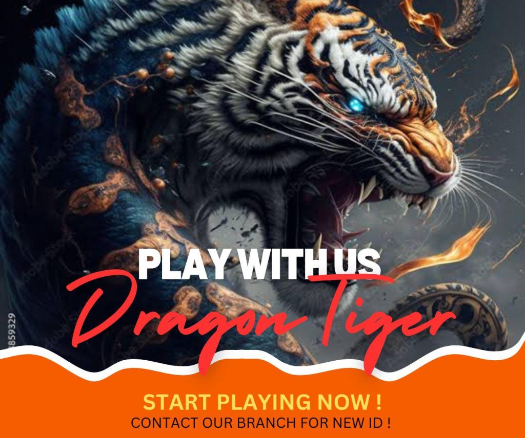 Dragon Tiger strategies