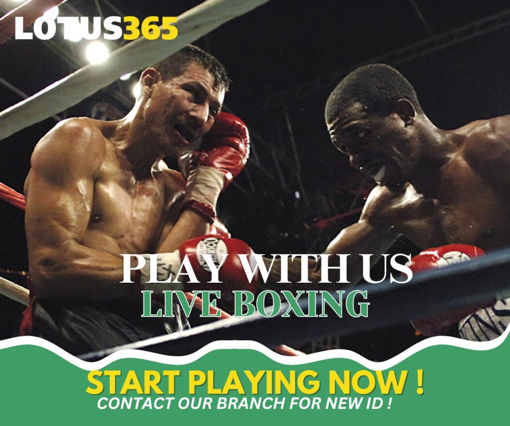 Beginners guide boxing betting Lotus365