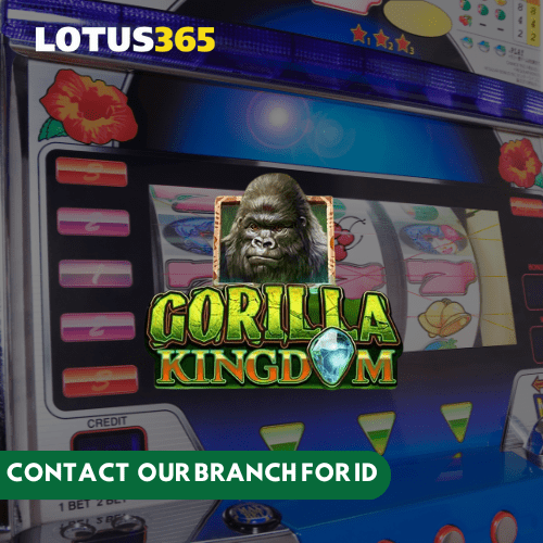 Best slots on Lotus365 1