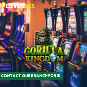 Read more about the article Gorilla Kingdom Slots on Lotus365 A Beginner’s Guide to Winning Big