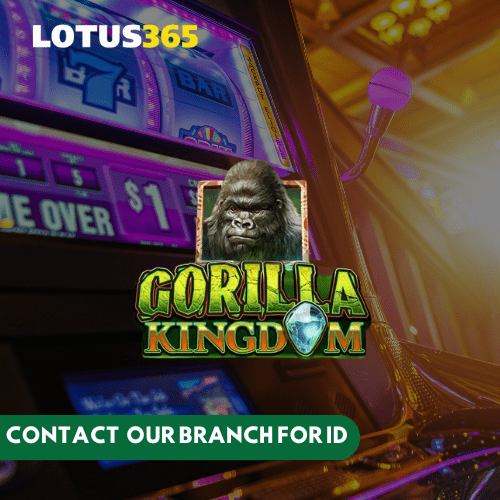 Gorilla Kingdom slot game strategy