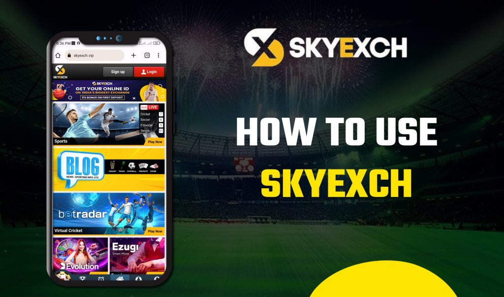 How to Use Sky Exchange