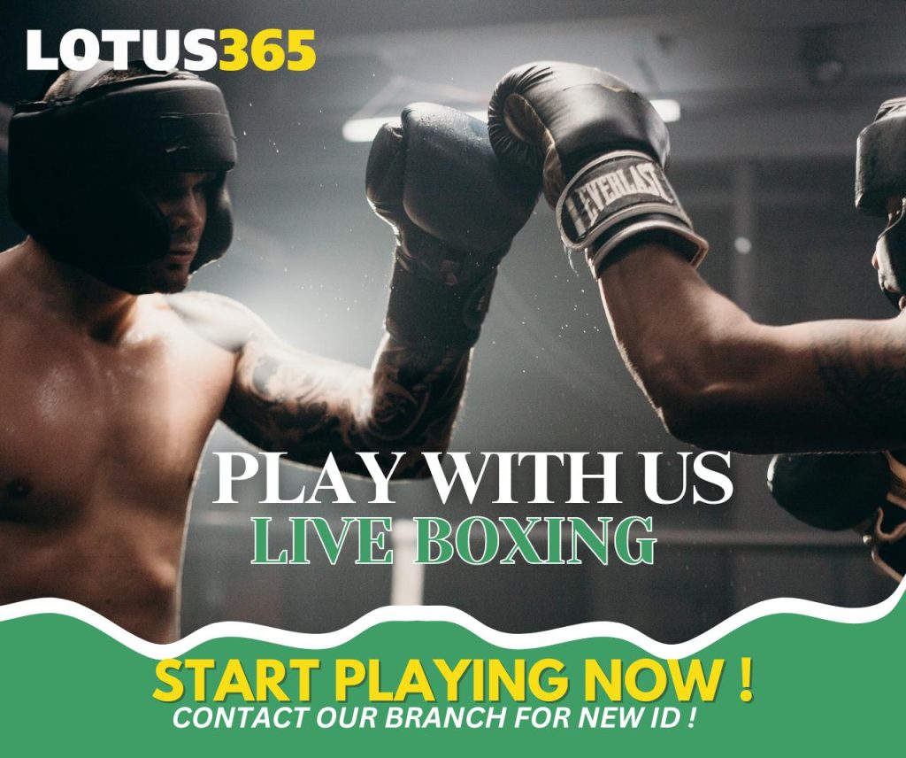 Lotus365 boxing betting guide