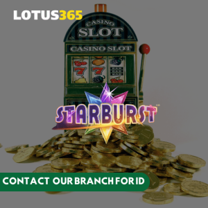 Read more about the article The Ultimate Review of Starburst Slot on Lotus365 What Makes It Stand Out