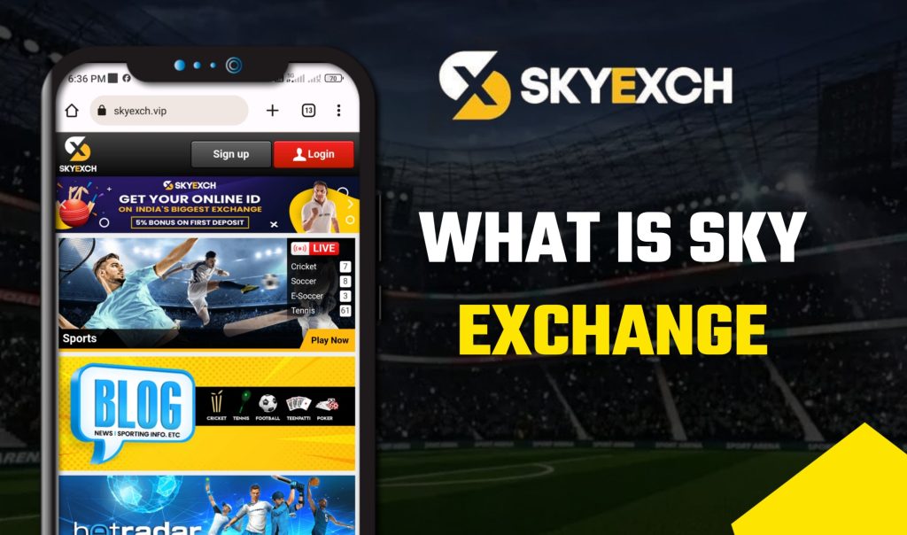 What is Sky Exchange