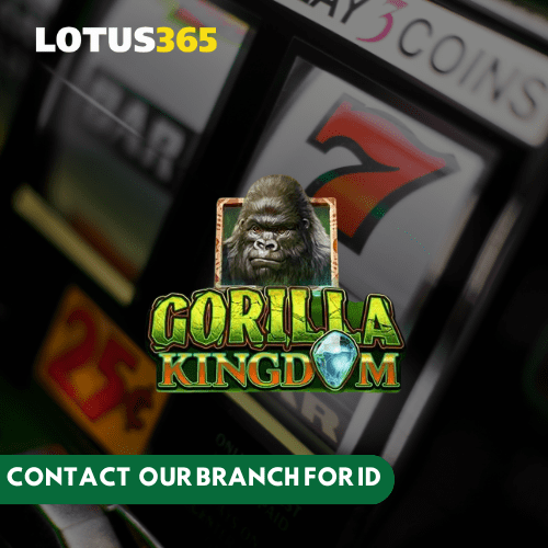 Winning big on Gorilla Kingdom Slots