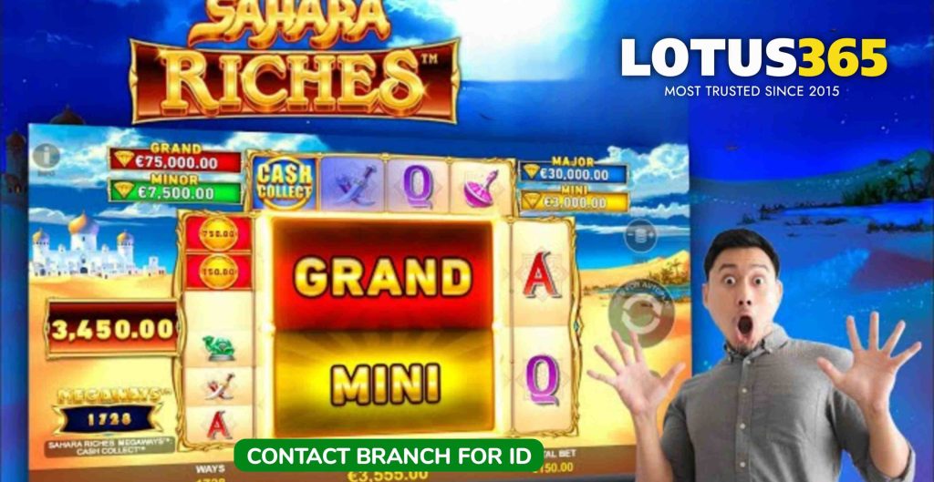 Cash Collect slots on Lotus365