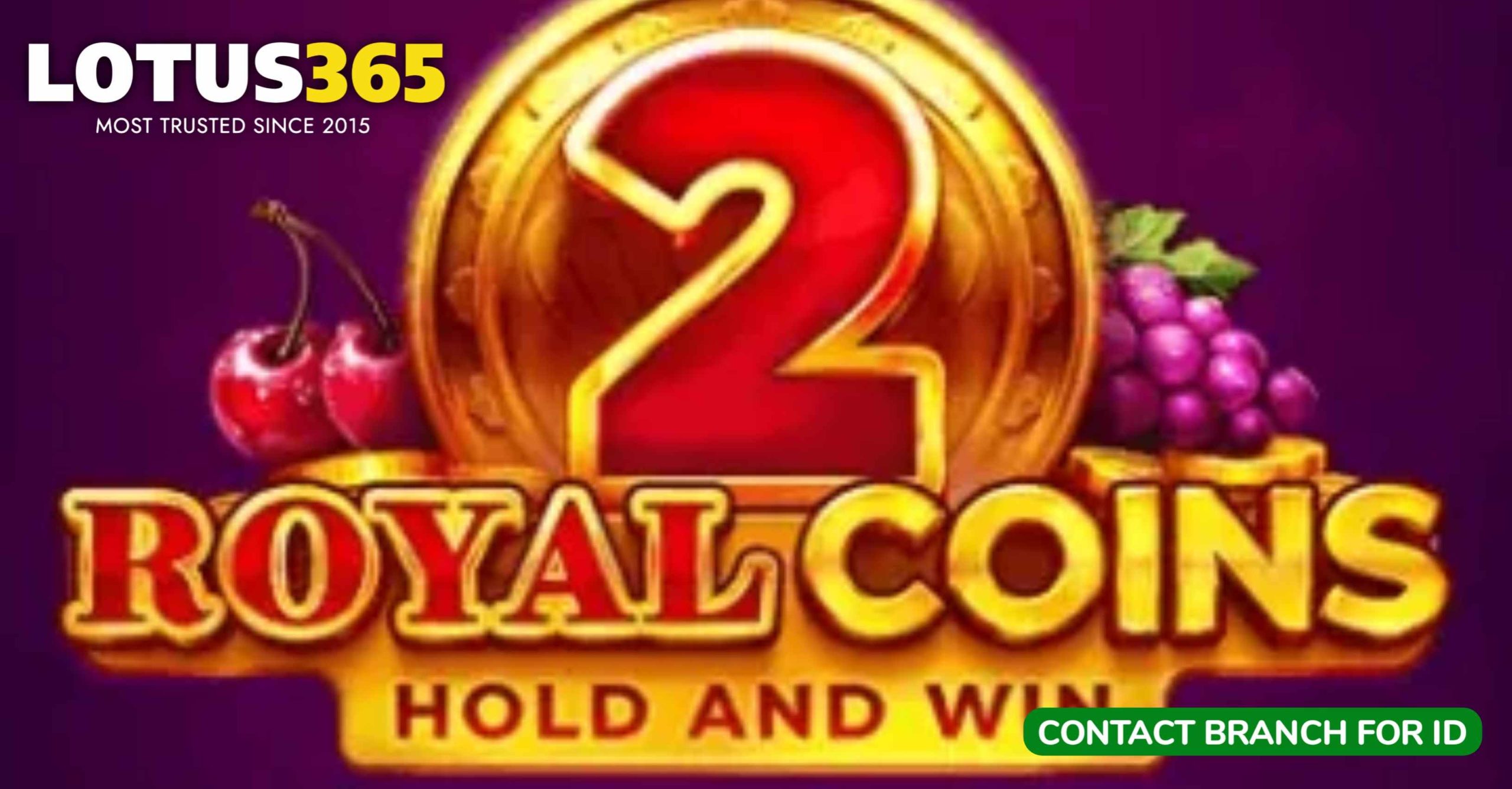 You are currently viewing How to Avoid Common Mistakes in Royal Coins 2 Betting on Lotus365