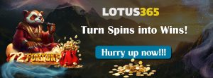 Read more about the article How to Maximize Your Wins with 72 Fortune Betting on Lotus365