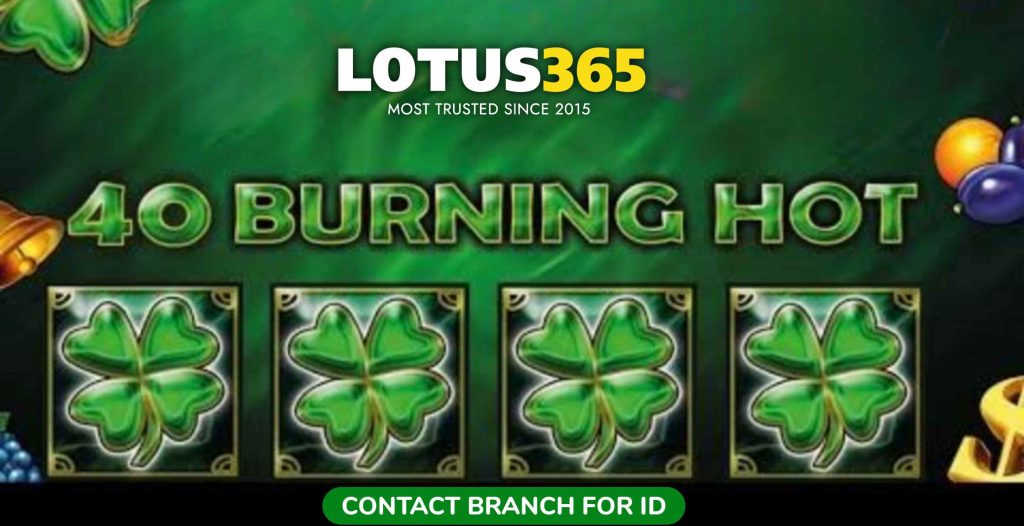 Play 40 Burning Hot online