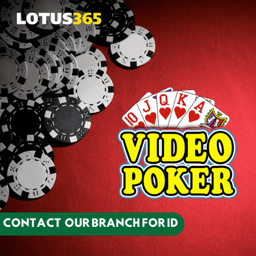 Safe and Fair Video Poker on Lotus365