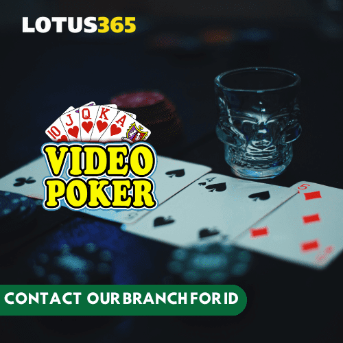 You are currently viewing Top Video Poker Variations to Play on Lotus365 Find Your Perfect Match