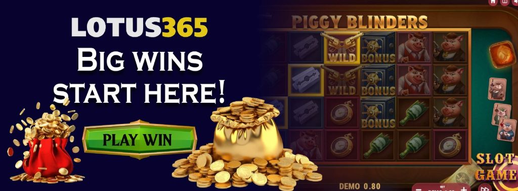 Lotus365 casino slots