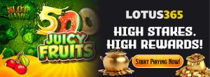 Read more about the article Top 5 Tips for Consistent Wins on 500 Juicy Fruits Slot on Lotus365