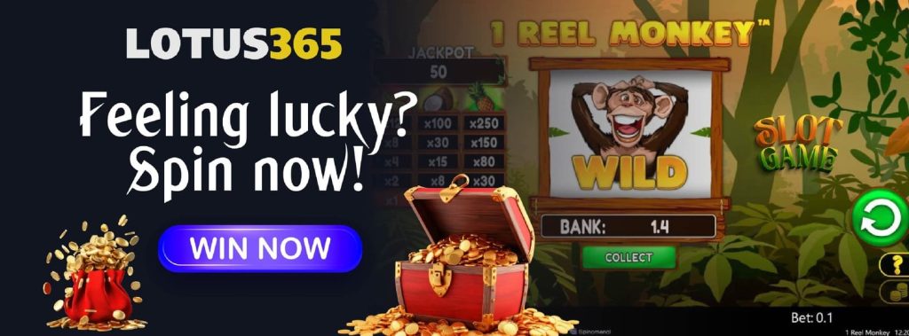 Wacky Monkey jackpot features