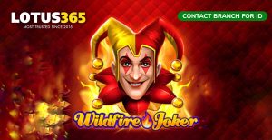 Read more about the article Wildfire Joker Slot Review Key Features and Winning Tips on Lotus365