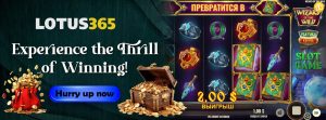 Read more about the article 5 Magic Tips for Winning on Wizard of the Wild Slot at Lotus365