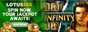 Read more about the article Shadow of the Panther Infinity Slot Review