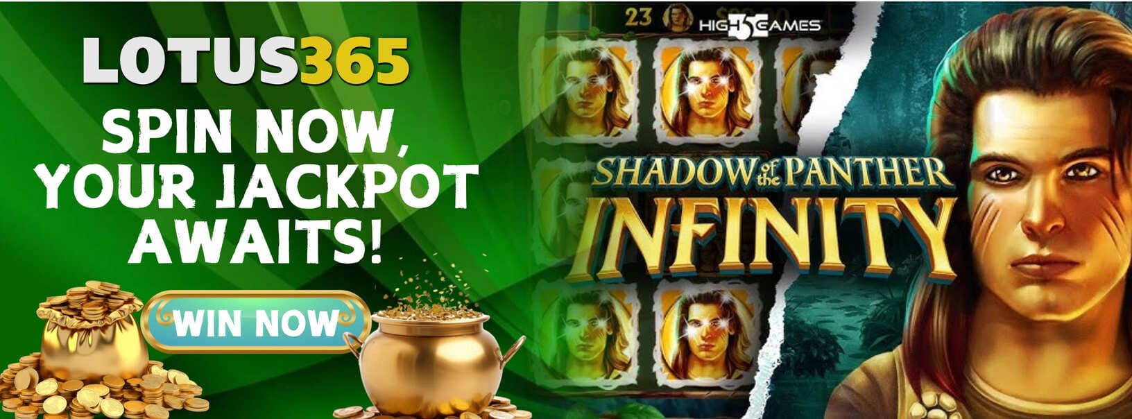 You are currently viewing Shadow of the Panther Infinity Slot Review