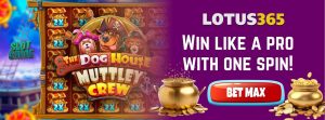 Read more about the article The Dog House Muttley Crew Slot Review on Lotus365