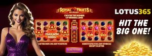 Read more about the article Top 5 Features of Royal Fruits MultiLines Slot on Lotus365